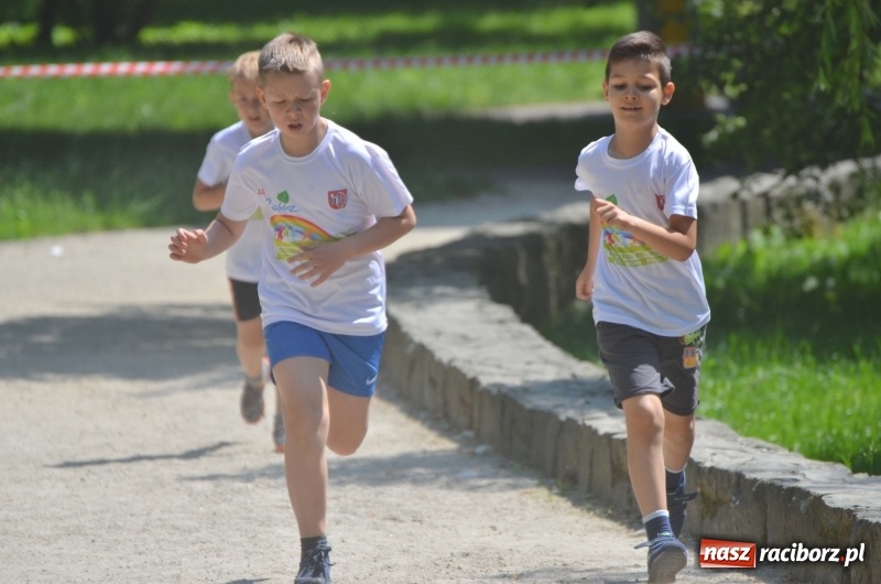 Zdjęcie w galerii na portalu naszraciborz.pl: Upał im niestraszny. Setki młodych biegaczy na starcie Raciborskiego Biegu Profilaktycznego  wiadomości z regionu