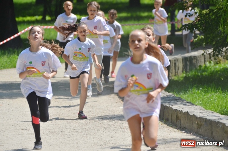 Zdjęcie w galerii na portalu naszraciborz.pl: Upał im niestraszny. Setki młodych biegaczy na starcie Raciborskiego Biegu Profilaktycznego  wiadomości z regionu