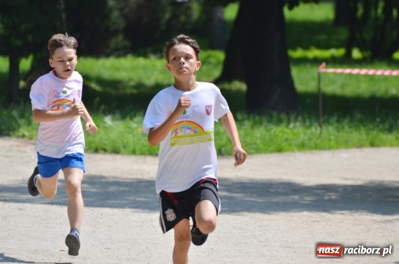 Zdjęcie w galerii na portalu naszraciborz.pl: Upał im niestraszny. Setki młodych biegaczy na starcie Raciborskiego Biegu Profilaktycznego  wiadomości z regionu