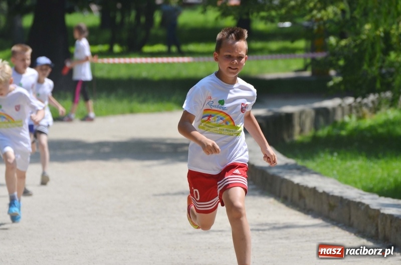 Zdjęcie w galerii na portalu naszraciborz.pl: Upał im niestraszny. Setki młodych biegaczy na starcie Raciborskiego Biegu Profilaktycznego  wiadomości z regionu