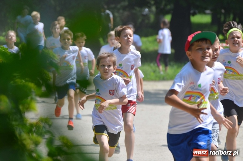 Zdjęcie w galerii na portalu naszraciborz.pl: Upał im niestraszny. Setki młodych biegaczy na starcie Raciborskiego Biegu Profilaktycznego  wiadomości z regionu