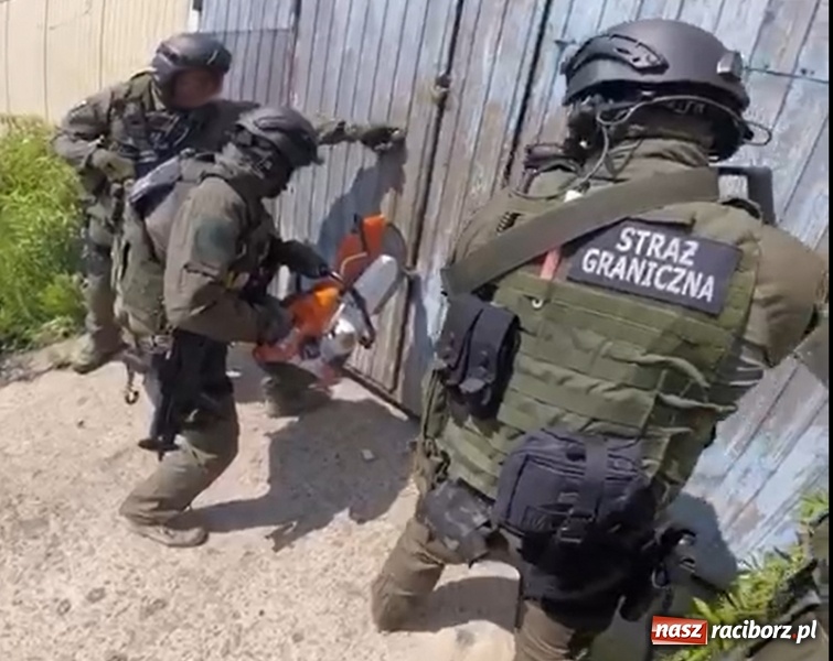 Zdjęcie w galerii na portalu naszraciborz.pl: Pogranicznicy z Raciborza rozbili gang tytoniowy  wiadomości z regionu