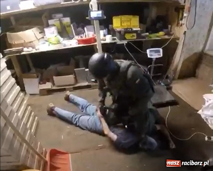 Zdjęcie w galerii na portalu naszraciborz.pl: Pogranicznicy z Raciborza rozbili gang tytoniowy  wiadomości z regionu