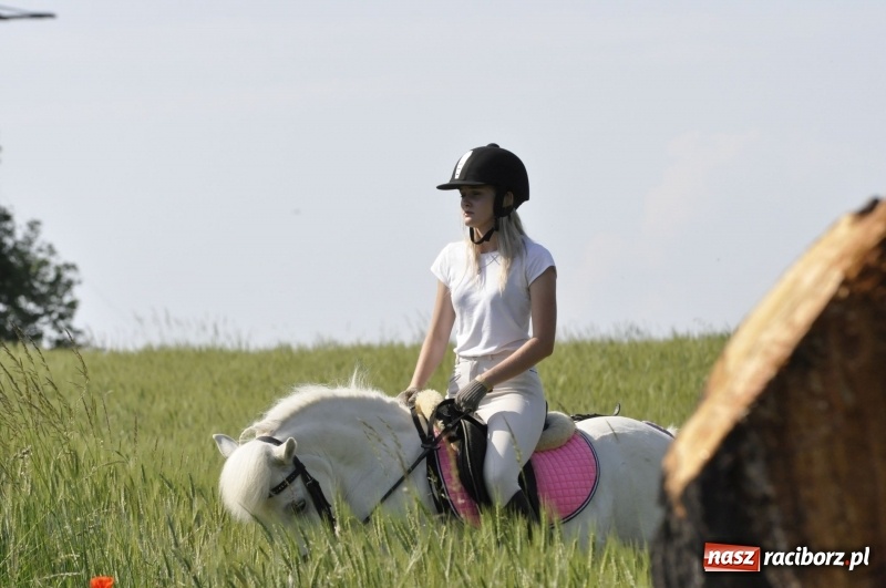 Zdjęcie w galerii na portalu naszraciborz.pl: Ze świętym Urbanem po brzeskich polach i łąkach wiadomości z regionu