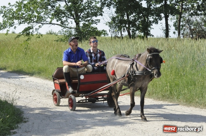 Zdjęcie w galerii na portalu naszraciborz.pl: Ze świętym Urbanem po brzeskich polach i łąkach wiadomości z regionu