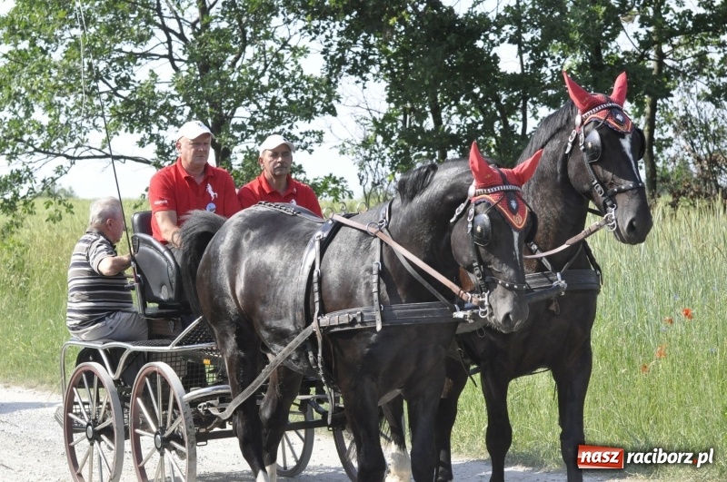 Zdjęcie w galerii na portalu naszraciborz.pl: Ze świętym Urbanem po brzeskich polach i łąkach wiadomości z regionu