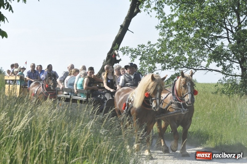 Zdjęcie w galerii na portalu naszraciborz.pl: Ze świętym Urbanem po brzeskich polach i łąkach wiadomości z regionu