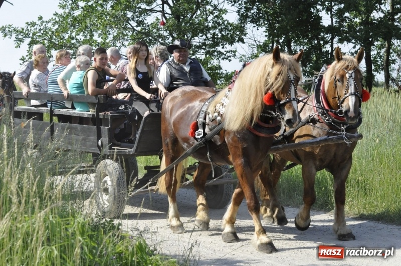 Zdjęcie w galerii na portalu naszraciborz.pl: Ze świętym Urbanem po brzeskich polach i łąkach wiadomości z regionu
