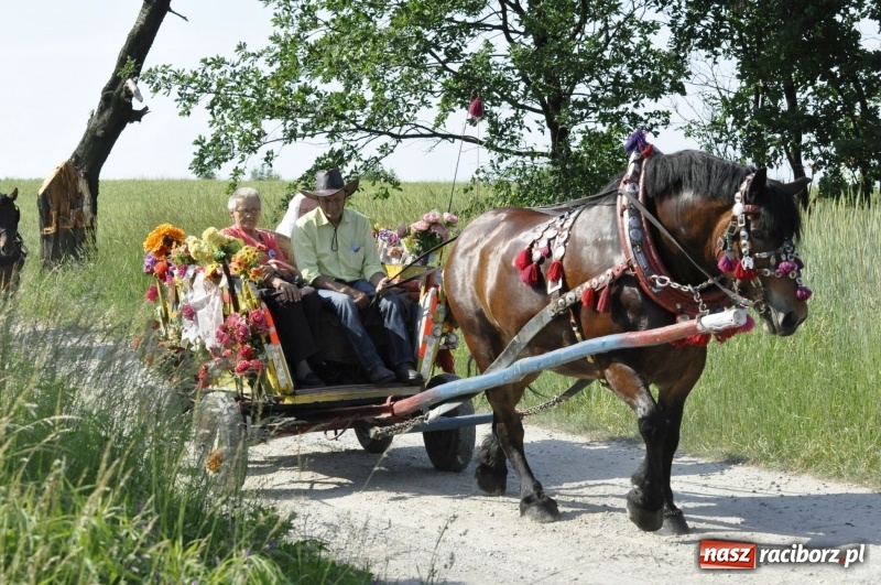 Zdjęcie w galerii na portalu naszraciborz.pl: Ze świętym Urbanem po brzeskich polach i łąkach wiadomości z regionu