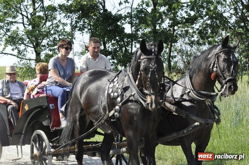 Zdjęcie w galerii na portalu naszraciborz.pl: Ze świętym Urbanem po brzeskich polach i łąkach wiadomości z regionu
