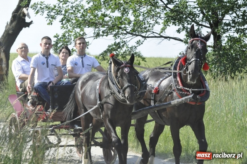 Zdjęcie w galerii na portalu naszraciborz.pl: Ze świętym Urbanem po brzeskich polach i łąkach wiadomości z regionu