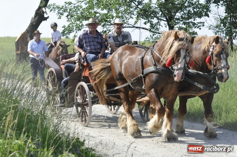 Zdjęcie w galerii na portalu naszraciborz.pl: Ze świętym Urbanem po brzeskich polach i łąkach wiadomości z regionu