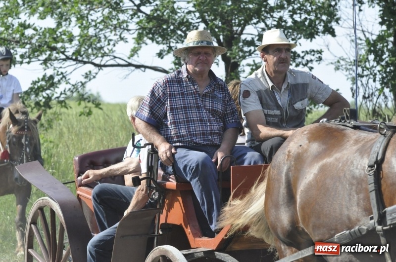Zdjęcie w galerii na portalu naszraciborz.pl: Ze świętym Urbanem po brzeskich polach i łąkach wiadomości z regionu