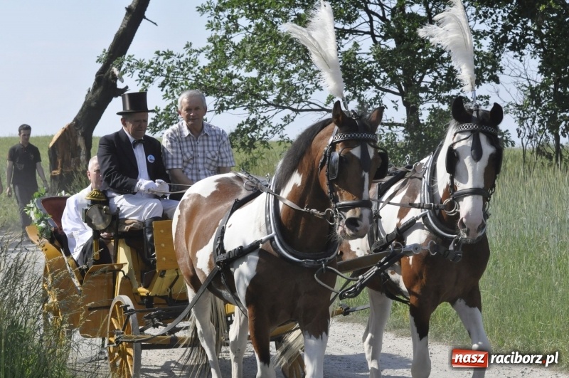 Zdjęcie w galerii na portalu naszraciborz.pl: Ze świętym Urbanem po brzeskich polach i łąkach wiadomości z regionu