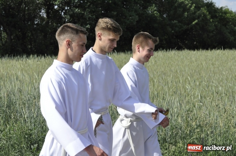 Zdjęcie w galerii na portalu naszraciborz.pl: Ze świętym Urbanem po brzeskich polach i łąkach wiadomości z regionu