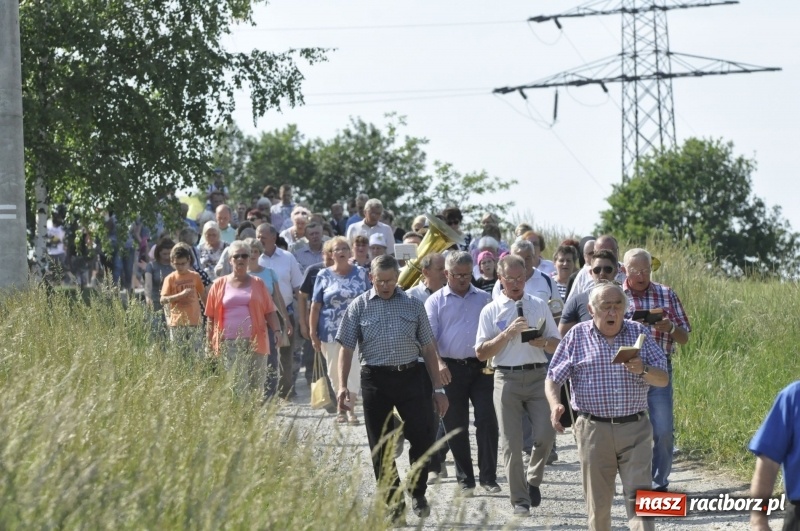 Zdjęcie w galerii na portalu naszraciborz.pl: Ze świętym Urbanem po brzeskich polach i łąkach wiadomości z regionu