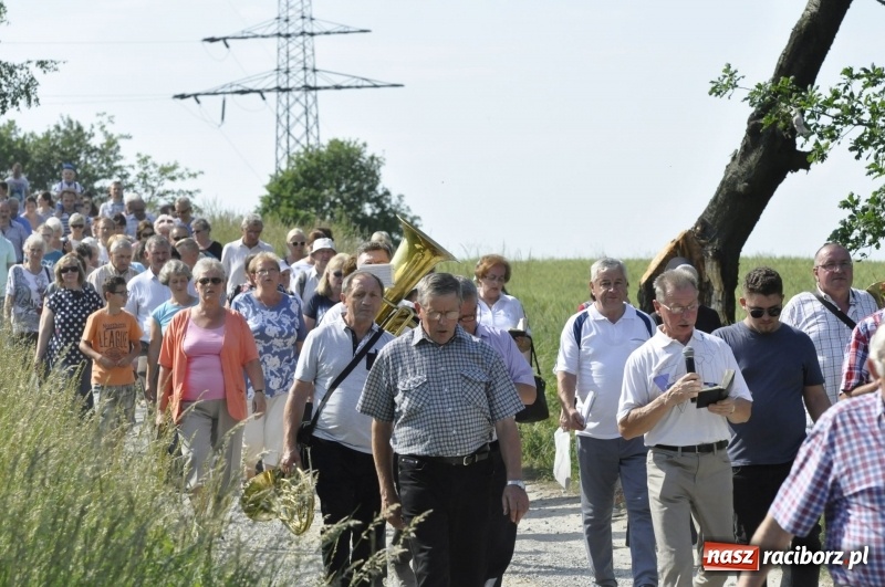 Zdjęcie w galerii na portalu naszraciborz.pl: Ze świętym Urbanem po brzeskich polach i łąkach wiadomości z regionu