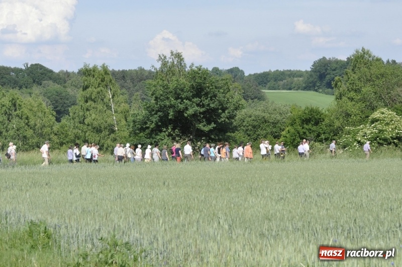 Zdjęcie w galerii na portalu naszraciborz.pl: Ze świętym Urbanem po brzeskich polach i łąkach wiadomości z regionu