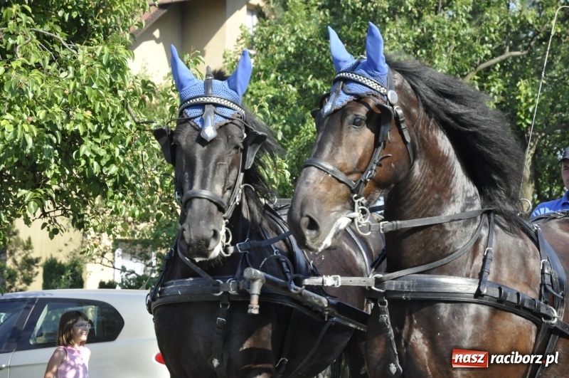 Zdjęcie w galerii na portalu naszraciborz.pl: Ze świętym Urbanem po brzeskich polach i łąkach wiadomości z regionu