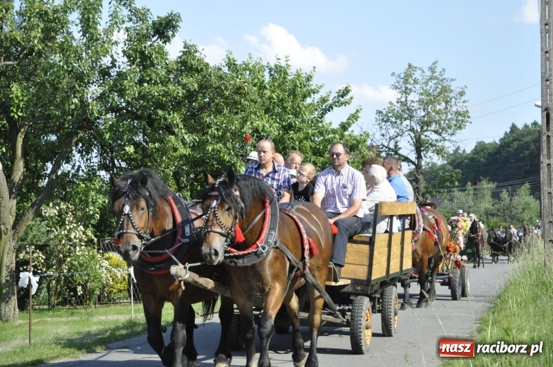 Zdjęcie w galerii na portalu naszraciborz.pl: Ze świętym Urbanem po brzeskich polach i łąkach wiadomości z regionu
