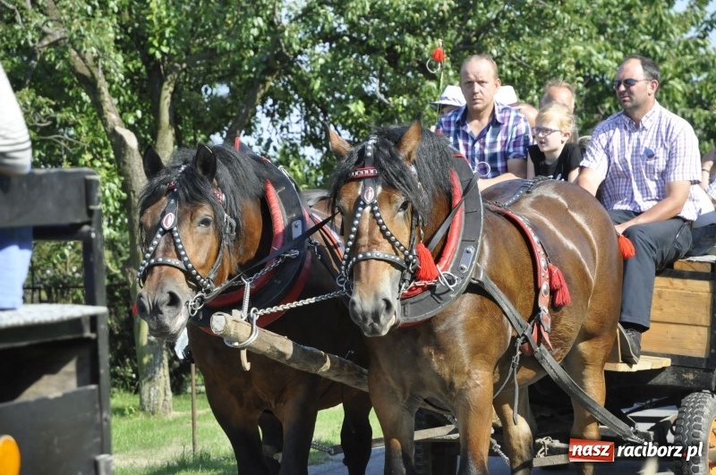 Zdjęcie w galerii na portalu naszraciborz.pl: Ze świętym Urbanem po brzeskich polach i łąkach wiadomości z regionu