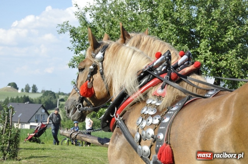 Zdjęcie w galerii na portalu naszraciborz.pl: Ze świętym Urbanem po brzeskich polach i łąkach wiadomości z regionu