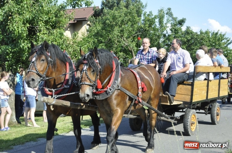 Zdjęcie w galerii na portalu naszraciborz.pl: Ze świętym Urbanem po brzeskich polach i łąkach wiadomości z regionu