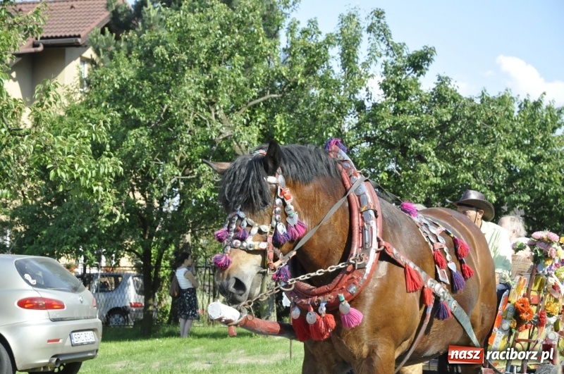 Zdjęcie w galerii na portalu naszraciborz.pl: Ze świętym Urbanem po brzeskich polach i łąkach wiadomości z regionu