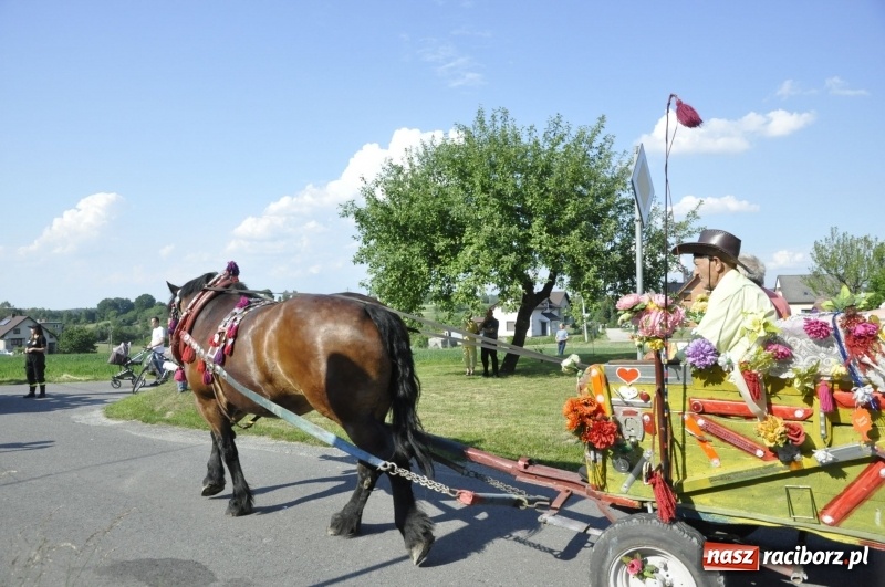 Zdjęcie w galerii na portalu naszraciborz.pl: Ze świętym Urbanem po brzeskich polach i łąkach wiadomości z regionu