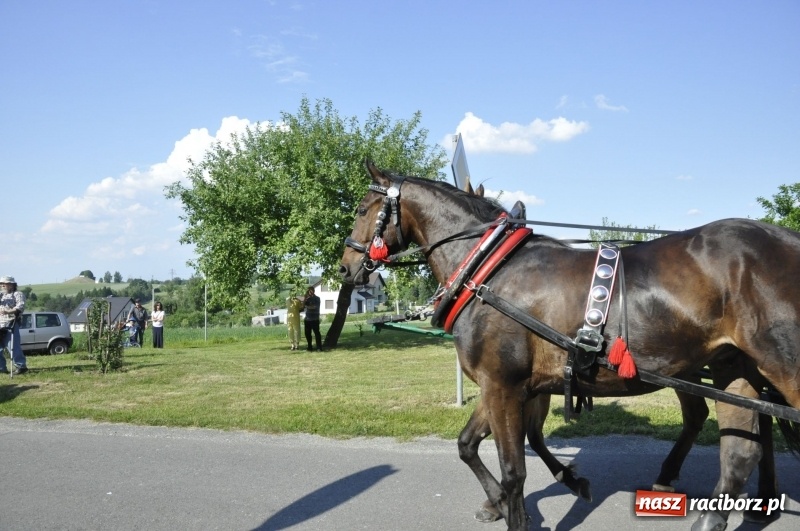 Zdjęcie w galerii na portalu naszraciborz.pl: Ze świętym Urbanem po brzeskich polach i łąkach wiadomości z regionu