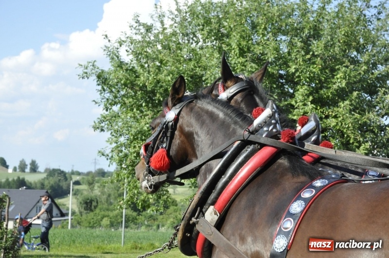 Zdjęcie w galerii na portalu naszraciborz.pl: Ze świętym Urbanem po brzeskich polach i łąkach wiadomości z regionu