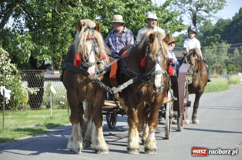 Zdjęcie w galerii na portalu naszraciborz.pl: Ze świętym Urbanem po brzeskich polach i łąkach wiadomości z regionu