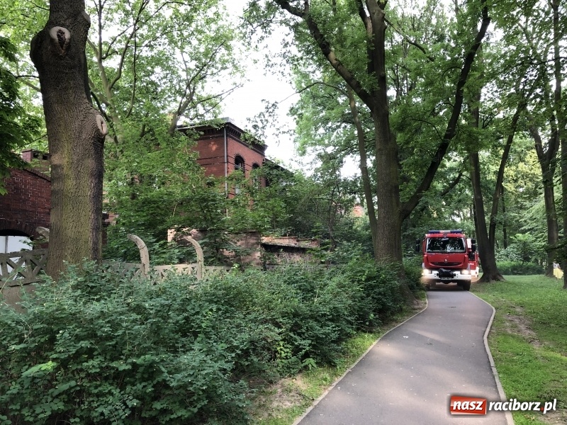 Zdjęcie w galerii na portalu naszraciborz.pl: Kolejny w tym roku pożar w starym szpitalu przy Bema w Raciborzu FOTO i WIDEO wiadomości z regionu