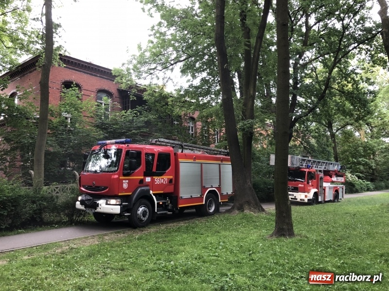 Zdjęcie w galerii na portalu naszraciborz.pl: Kolejny w tym roku pożar w starym szpitalu przy Bema w Raciborzu FOTO i WIDEO wiadomości z regionu