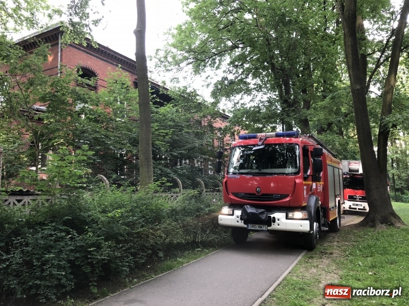 Zdjęcie w galerii na portalu naszraciborz.pl: Kolejny w tym roku pożar w starym szpitalu przy Bema w Raciborzu FOTO i WIDEO wiadomości z regionu