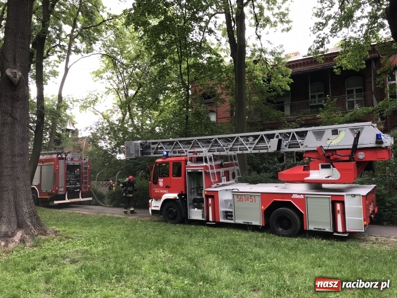 Zdjęcie w galerii na portalu naszraciborz.pl: Kolejny w tym roku pożar w starym szpitalu przy Bema w Raciborzu FOTO i WIDEO wiadomości z regionu
