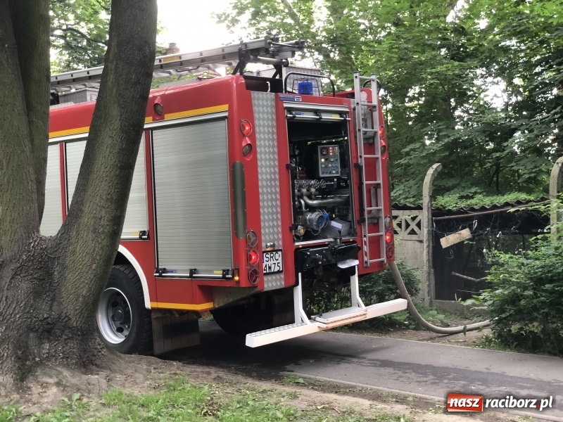 Zdjęcie w galerii na portalu naszraciborz.pl: Kolejny w tym roku pożar w starym szpitalu przy Bema w Raciborzu FOTO i WIDEO wiadomości z regionu