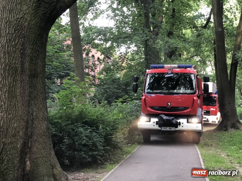 Zdjęcie w galerii na portalu naszraciborz.pl: Kolejny w tym roku pożar w starym szpitalu przy Bema w Raciborzu FOTO i WIDEO wiadomości z regionu