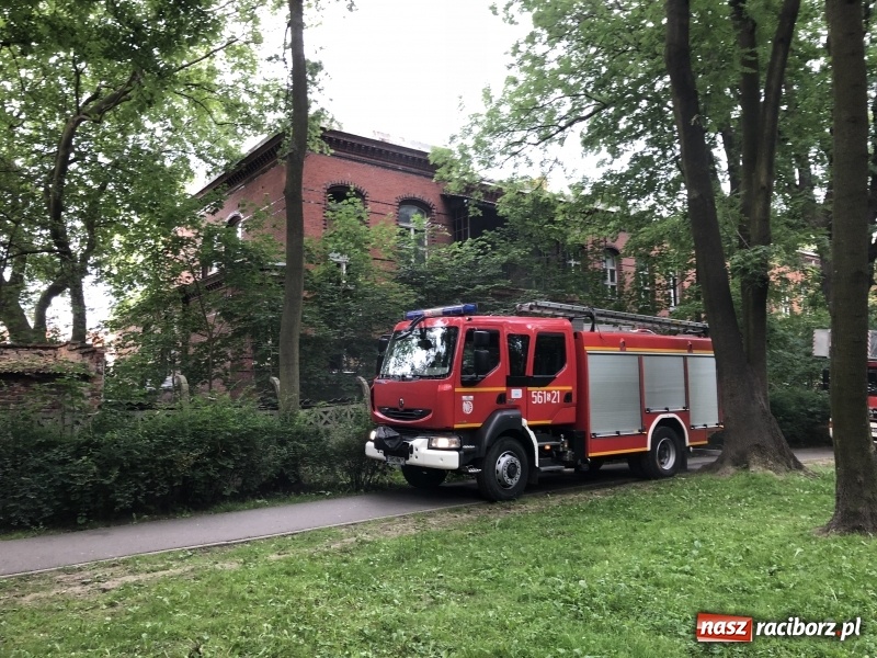 Zdjęcie w galerii na portalu naszraciborz.pl: Kolejny w tym roku pożar w starym szpitalu przy Bema w Raciborzu FOTO i WIDEO wiadomości z regionu