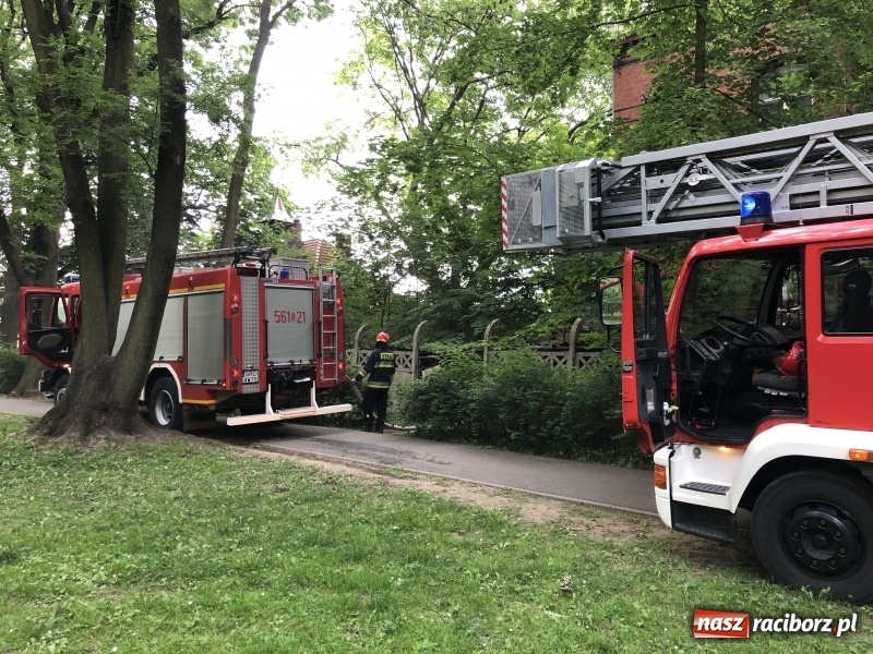 Zdjęcie w galerii na portalu naszraciborz.pl: Kolejny w tym roku pożar w starym szpitalu przy Bema w Raciborzu FOTO i WIDEO wiadomości z regionu