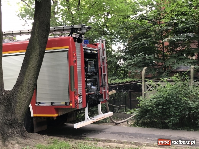 Zdjęcie w galerii na portalu naszraciborz.pl: Kolejny w tym roku pożar w starym szpitalu przy Bema w Raciborzu FOTO i WIDEO wiadomości z regionu