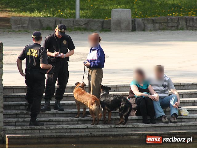 Zdjęcie w galerii na portalu naszraciborz.pl: 100 zł za kąpanie psów w stawie wiadomości z regionu