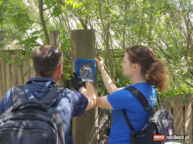 Zdjęcie w galerii na portalu naszraciborz.pl: Studenci PWSZ w Raciborzu rozpoczęli znakowanie Śląsko-Morawskiej Drogi św. Jakuba wiadomości z regionu