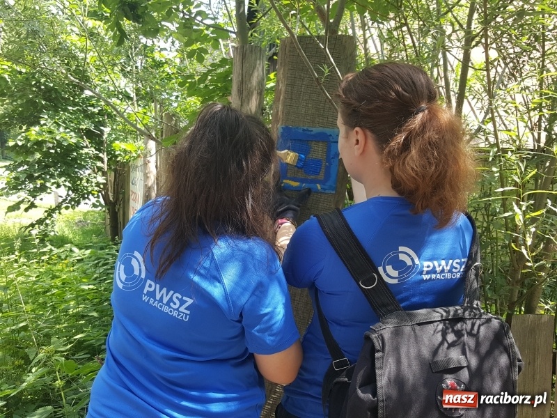 Zdjęcie w galerii na portalu naszraciborz.pl: Studenci PWSZ w Raciborzu rozpoczęli znakowanie Śląsko-Morawskiej Drogi św. Jakuba wiadomości z regionu