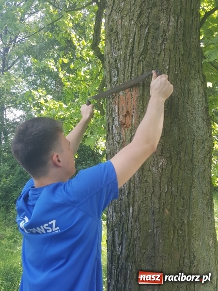 Zdjęcie w galerii na portalu naszraciborz.pl: Studenci PWSZ w Raciborzu rozpoczęli znakowanie Śląsko-Morawskiej Drogi św. Jakuba wiadomości z regionu