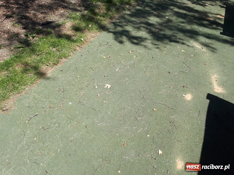 Zdjęcie w galerii na portalu naszraciborz.pl: Plaża miejska w niedzielne popołudnie. Dla gospodarzy nadal trwa zima  wiadomości z regionu