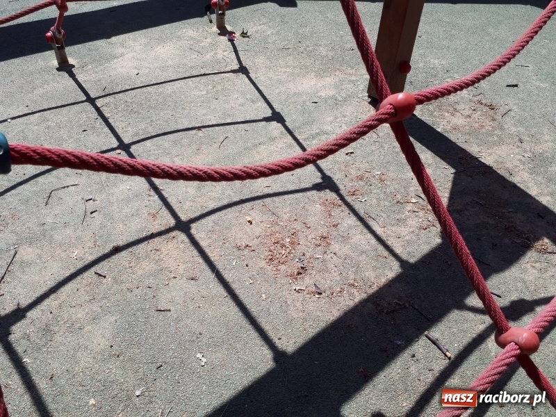 Zdjęcie w galerii na portalu naszraciborz.pl: Plaża miejska w niedzielne popołudnie. Dla gospodarzy nadal trwa zima  wiadomości z regionu