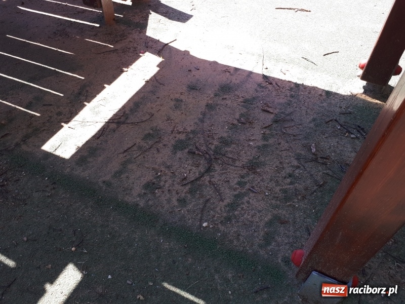 Zdjęcie w galerii na portalu naszraciborz.pl: Plaża miejska w niedzielne popołudnie. Dla gospodarzy nadal trwa zima  wiadomości z regionu