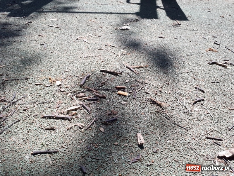 Zdjęcie w galerii na portalu naszraciborz.pl: Plaża miejska w niedzielne popołudnie. Dla gospodarzy nadal trwa zima  wiadomości z regionu