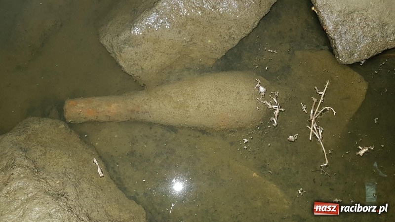 Zdjęcie w galerii na portalu naszraciborz.pl: Pojechał nad Odrę łowić ryby. Natrafił na pocisk  wiadomości z regionu